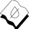 icon1